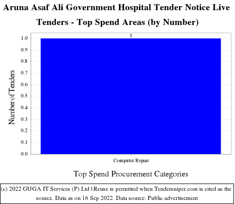 Aruna Asaf Ali Govt Hospital Live Tenders - Top Spend Areas (by Number)